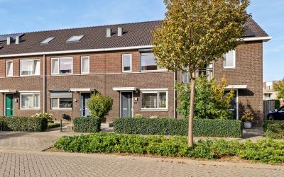 Groot Dikkopje 13
