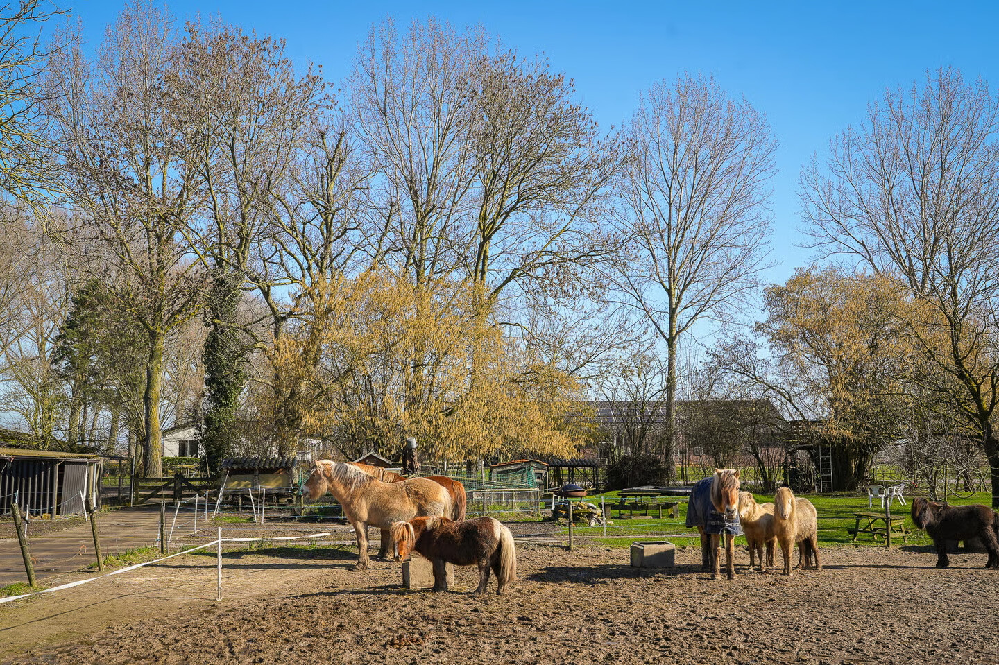 Vrijstaande woning te koop: Bommelweg 1, Wadenoijen