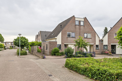 Sterappelhof 40