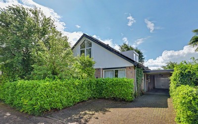 Lingekant 5