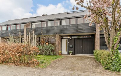 Moerbeiboom 41