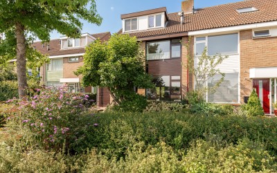 Wilgeboom 51