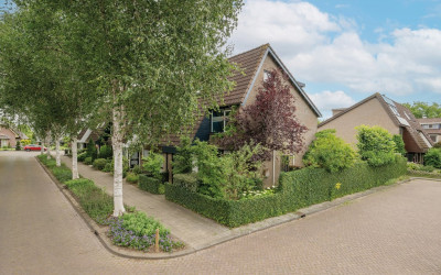 Berkeboom 55