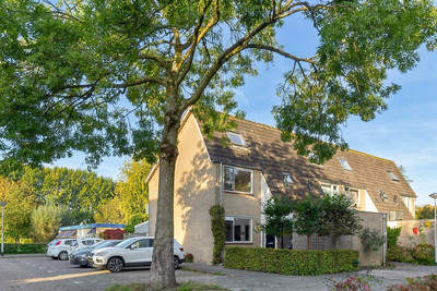 Hoefblad 53