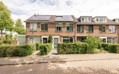 Pinksterbloem 2