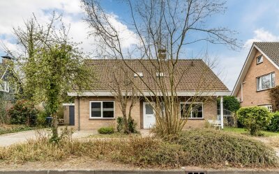 Ridderspoor 7