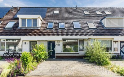 Boterbloem 9
