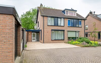 Ganzebloem 10