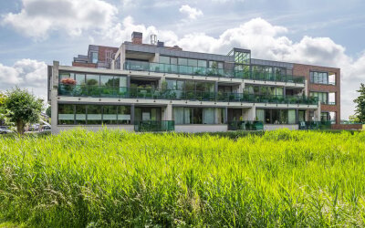 Burgemeester Hommesstraat 16