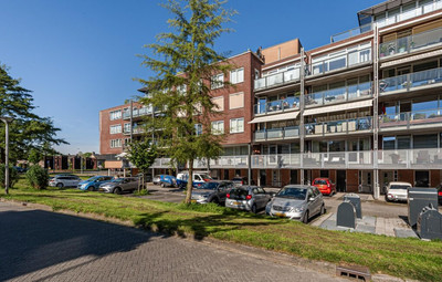 Rijsenborch 217