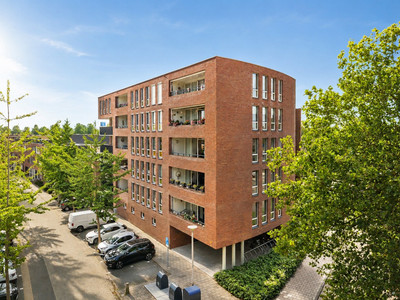 Rijsenborch 261