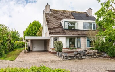 Goudrenet 1