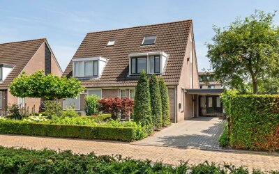 Goudrenet 49