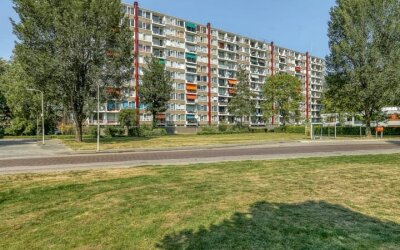 Van Goudoev. 235