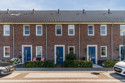 Boerengroen 50