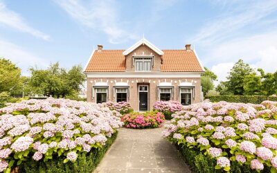Hogezoom 12