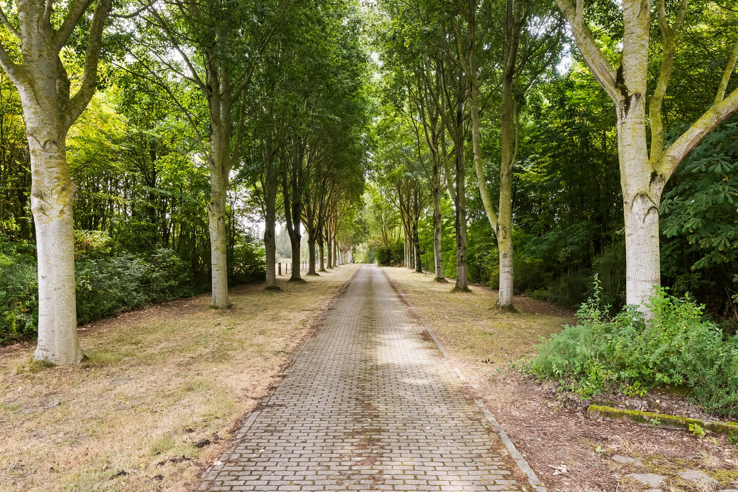 Vrijstaande woning te koop: Breeweg 4B, Koudekerke
