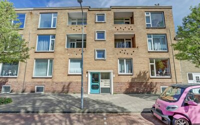 Singel 247