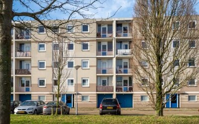 Schaepmanstraat 29