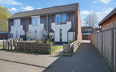 Kanariesprenk 387