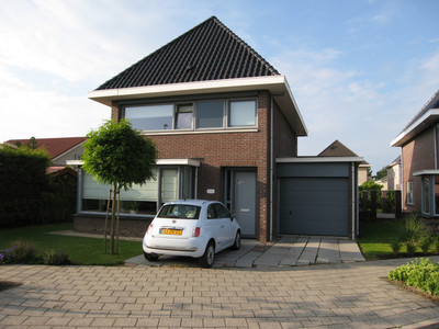 Roerdomp 7