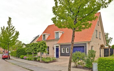 Boterbloem 11