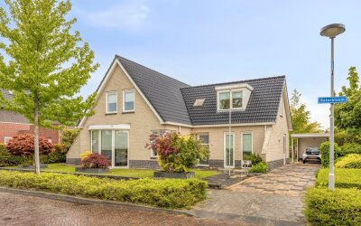 Boterbloem 5