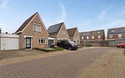 Parelhoen 4