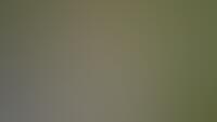 Oesterbank 9