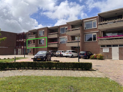 Grote Beer 8-022