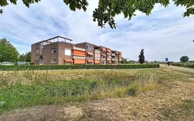 Grote Beer 8-031
