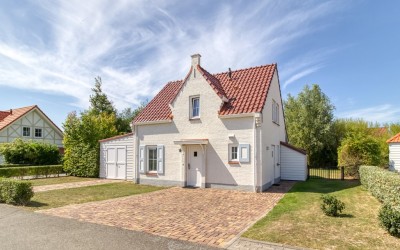 Duinroos 1