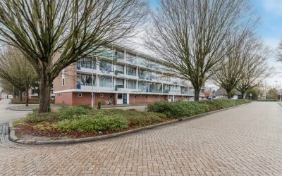 Vincent van Goghstraat 38