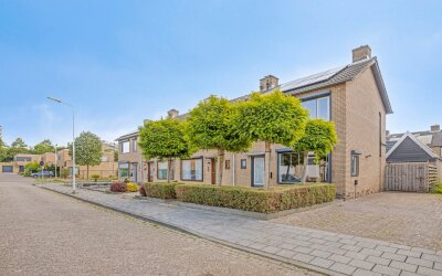 Pieter de H. 8