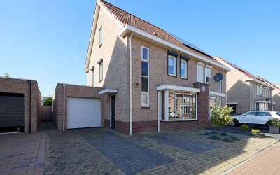 Aalscholver 23