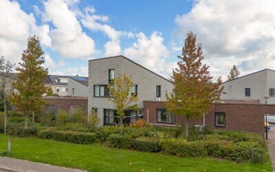 Steenarend 5