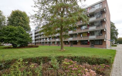 Houtmanstraat 65
