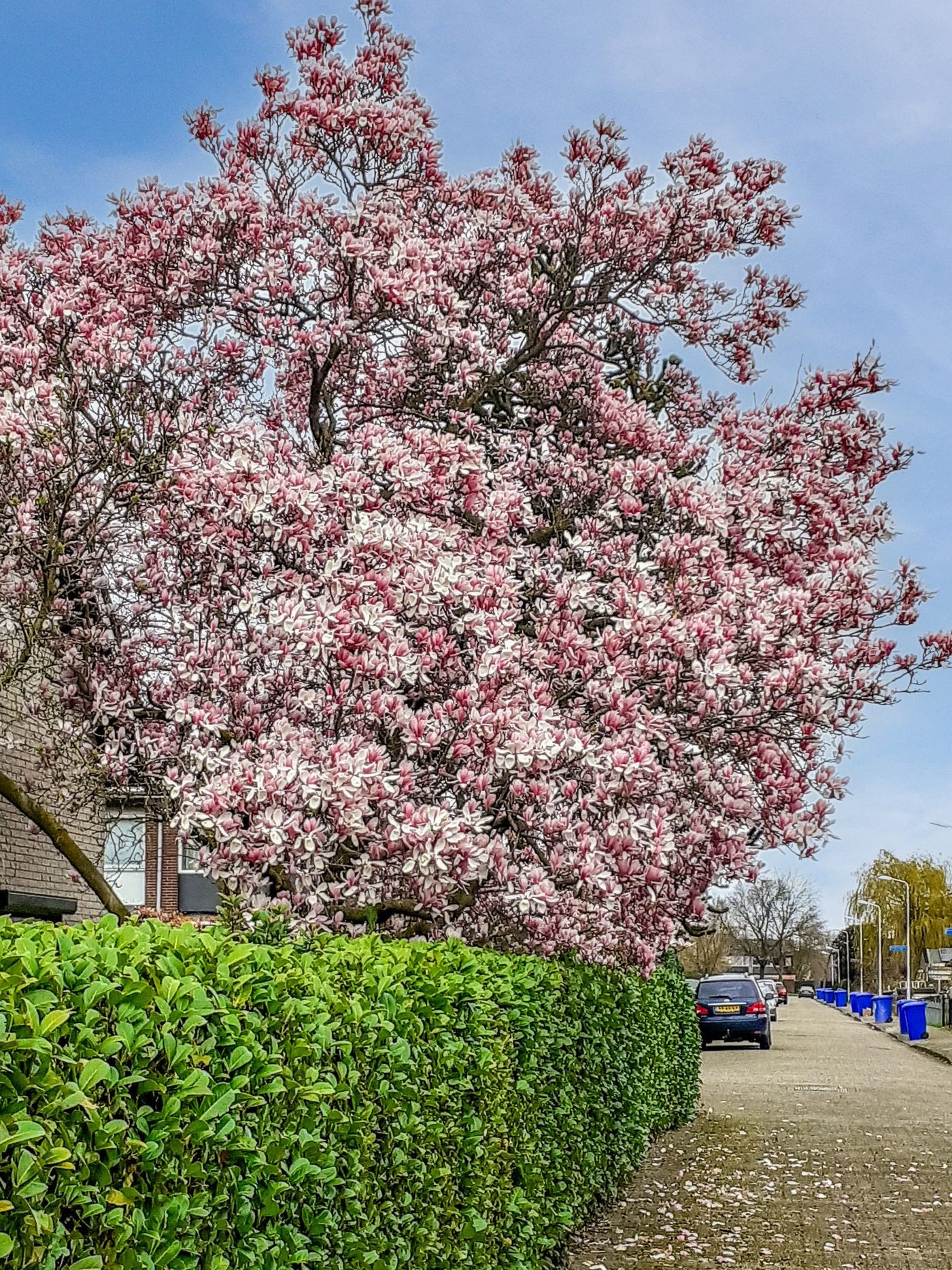 Vrijstaande woning te koop: Baggaertstraat 2, Sas Van Gent