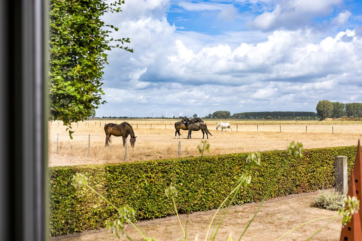 Vrijstaande woning te koop: Zandstraat 90, Philippine
