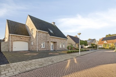 Vlasbloem 4