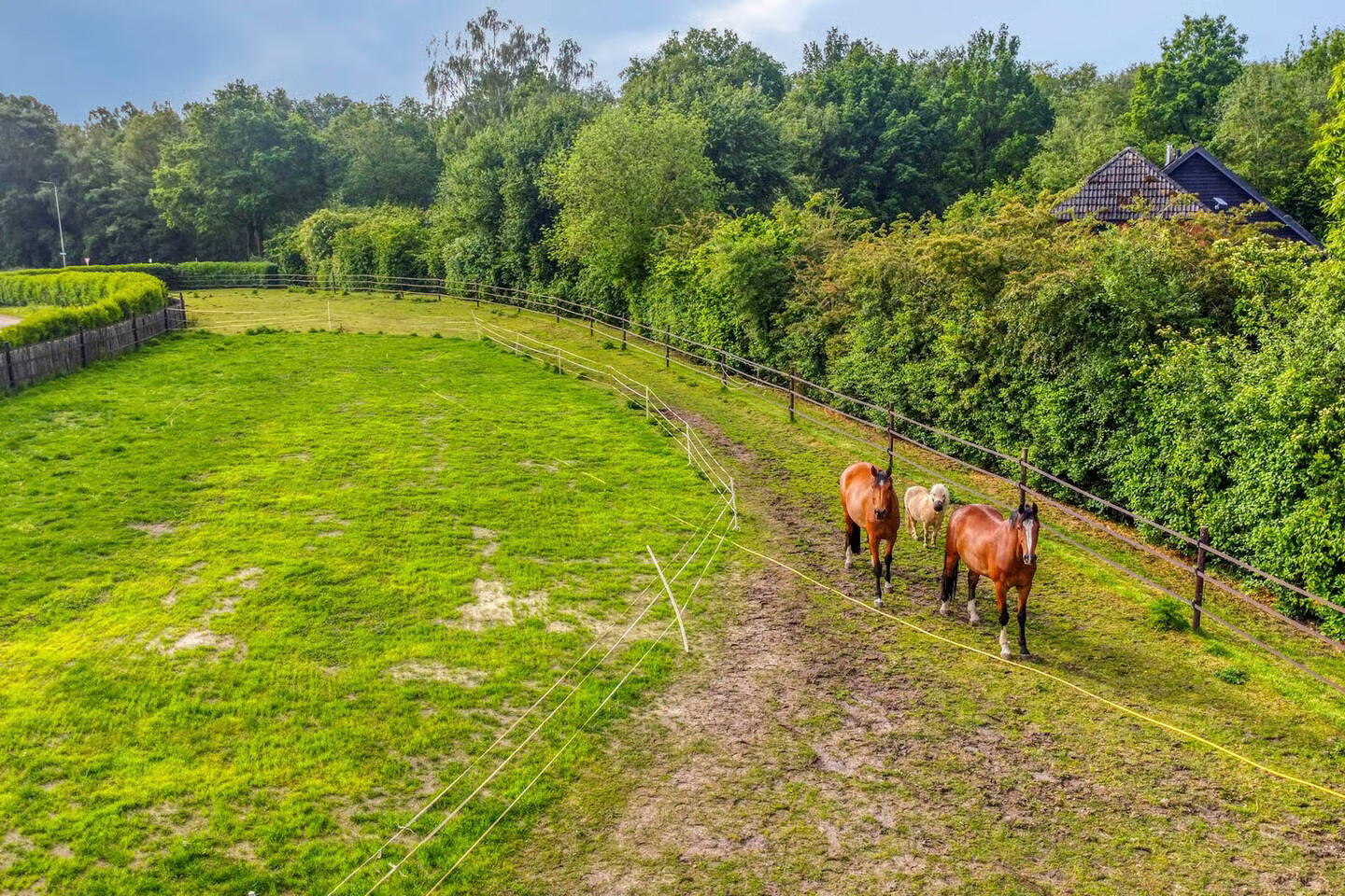 Vrijstaande woning te koop: Woestijnestraat 3, Clinge