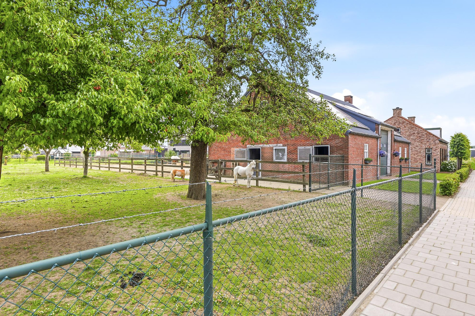 Vrijstaande woning te koop: Buitenweg 33, Axel