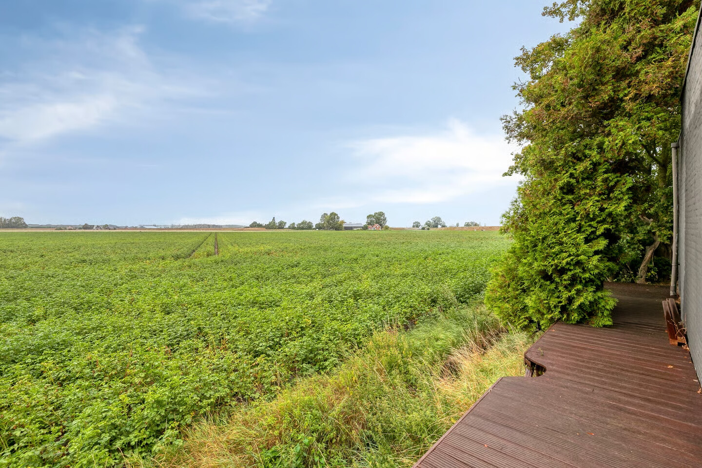 Vrijstaande woning te koop: Koningsdijk 9, Hengstdijk