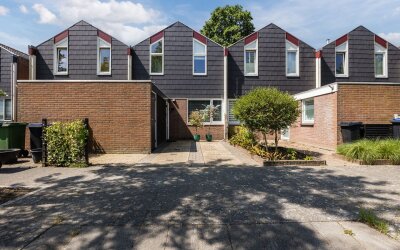 Lambertijne. 81