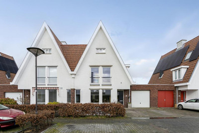 Strandkrab 41