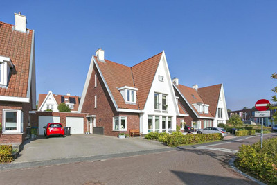 Strandkrab 8