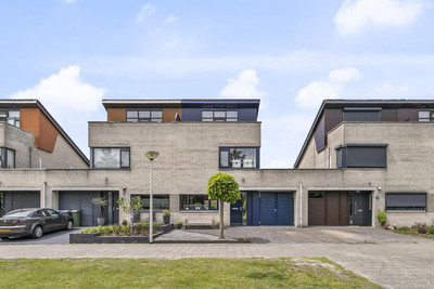 Aalscholver 18