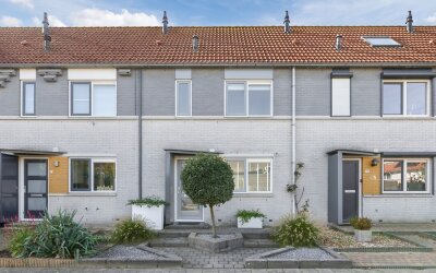 Visarend 17