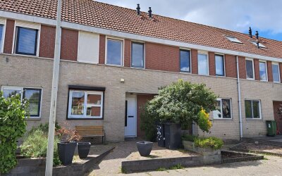 Visarend 45