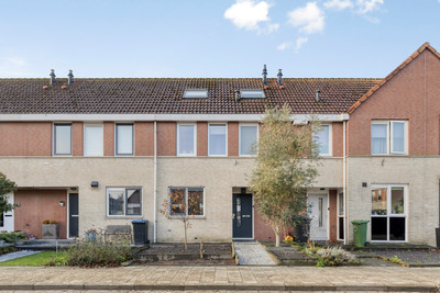 Visarend 49